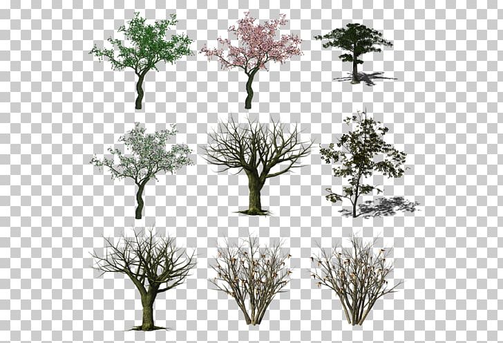 Branch Others Grass PNG, Clipart, April 26, Branch, Clip Art, Download, Grass Free PNG Download