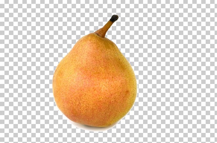 Pyrus Nivalis Auglis PNG, Clipart, Auglis, Copyright, Download, Food, Fruit Free PNG Download