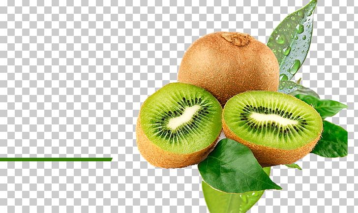 Kiwifruit Watermelon Food Hardy Kiwi PNG, Clipart, Actin, Apple, Berry, Cartoon Kiwi, Dietary Fiber Free PNG Download