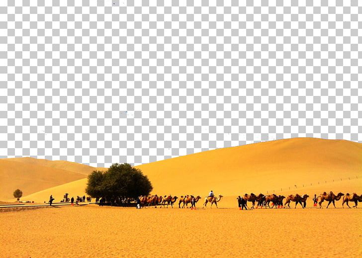Sahara Erg Desert Singing Sand PNG, Clipart, Adobe Illustrator, Aeolian Landform, Arizona Desert, Artworks, Desert Free PNG Download