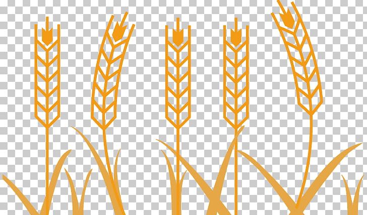 Wheat Photography Illustration PNG, Clipart, Agriculture, Commodity, Computer Icons, Euclidean Vector, Fashion Free PNG Download