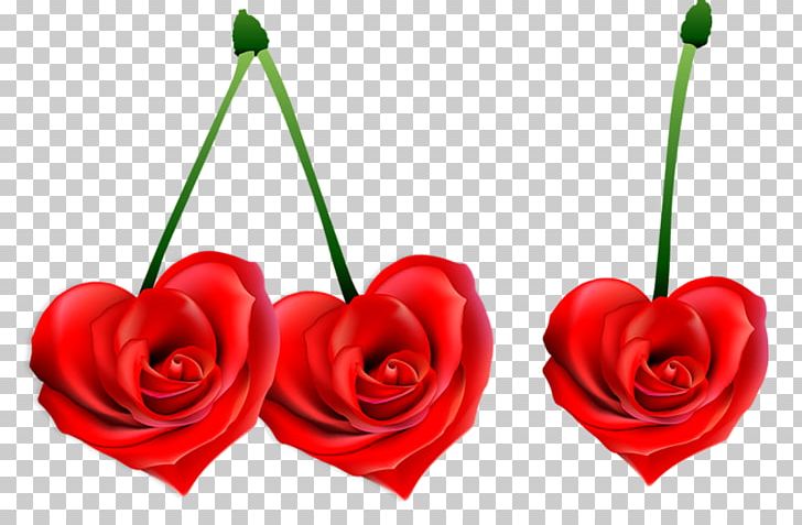 Photography Love PNG, Clipart, Banco De Imagens, Blog, Body Jewelry, Cherry, Cut Flowers Free PNG Download