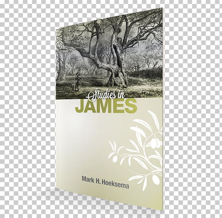 Studies In James James PNG, Clipart, Book, Brand, Christian Church, Church, Continental Reformed Church Free PNG Download