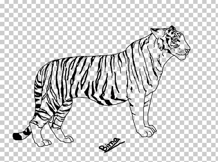 Tiger Whiskers Line Art Lion Drawing PNG, Clipart, Animals, Art, Art Museum, Artwork, Big Cats Free PNG Download