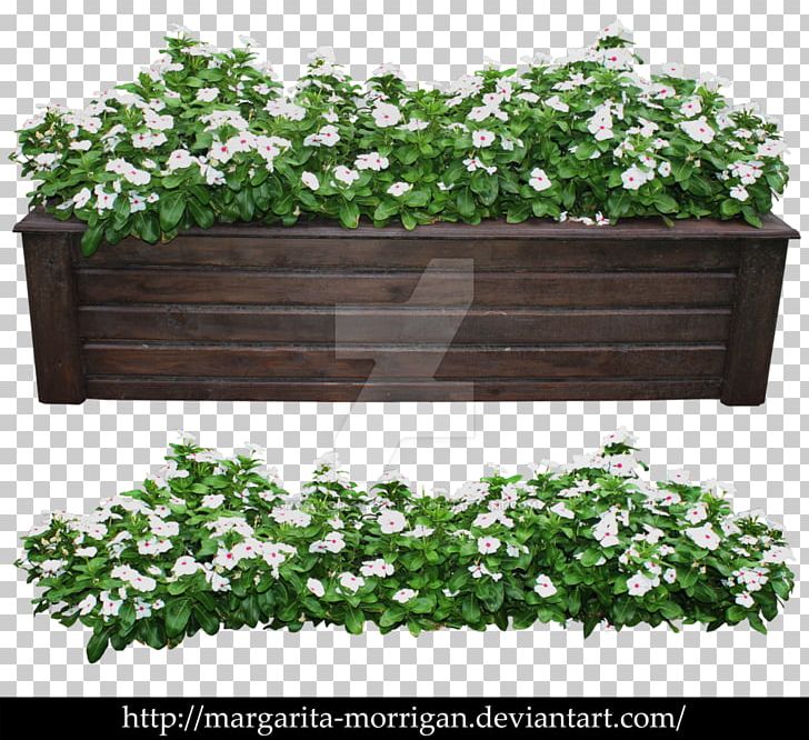 Modern Shrub Rose Flowerpot Plant Tree PNG, Clipart, Crock, Evergreen, Flower, Flower Pot, Flowerpot Free PNG Download