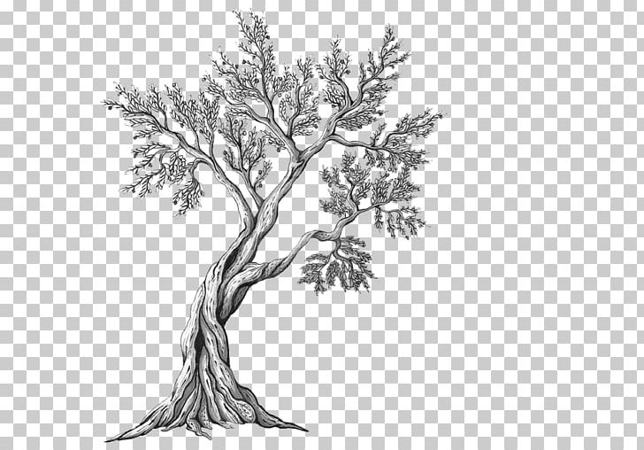 Drawing Painting Tattoo Sketch PNG, Clipart, Art, Black And White, Branch, Drawing, Flower Free PNG Download