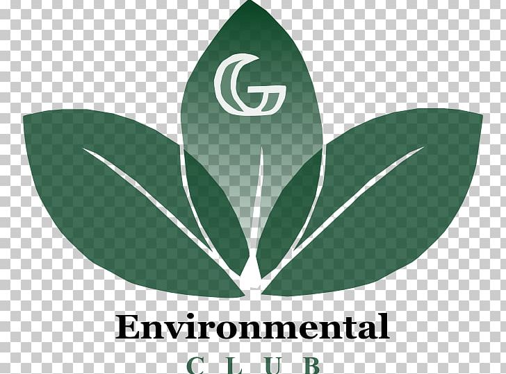 Logo Green Leaf Brand Font PNG, Clipart, Auditor, Brand, Grass, Green, Leaf Free PNG Download
