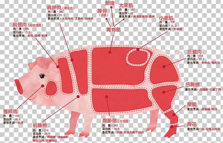 Pig Meat Pork Food PNG, Clipart, Animals, Cartoon, Chun, Food, Livestock Free PNG Download