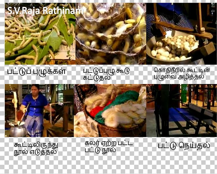 Silk Thread Weaving Karur தமிழர் நெசவுக்கலை PNG, Clipart, Cotton, Cuisine, Dish, Food, Junk Food Free PNG Download