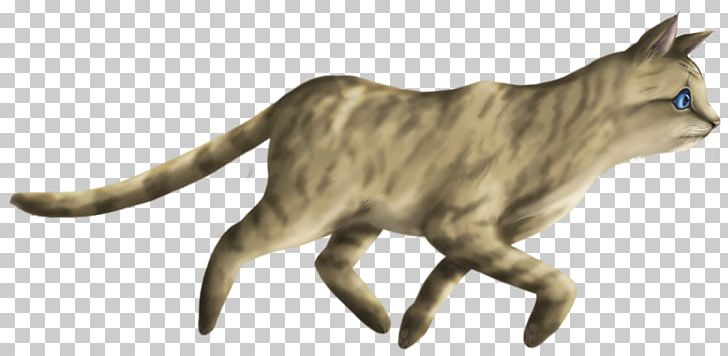 Whiskers Domestic Short-haired Cat Tabby Cat Wildcat PNG, Clipart, Animal, Animal Figure, Carnivoran, Cat, Cat Like Mammal Free PNG Download