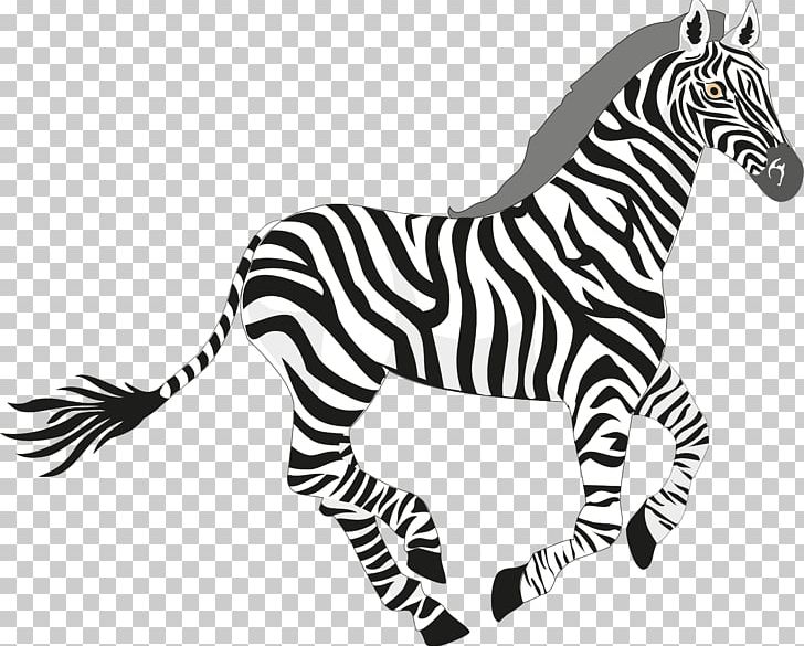 Zebra Giant Panda PNG, Clipart, Animal Figure, Animals, Big Cats, Black And White, Cuteness Free PNG Download