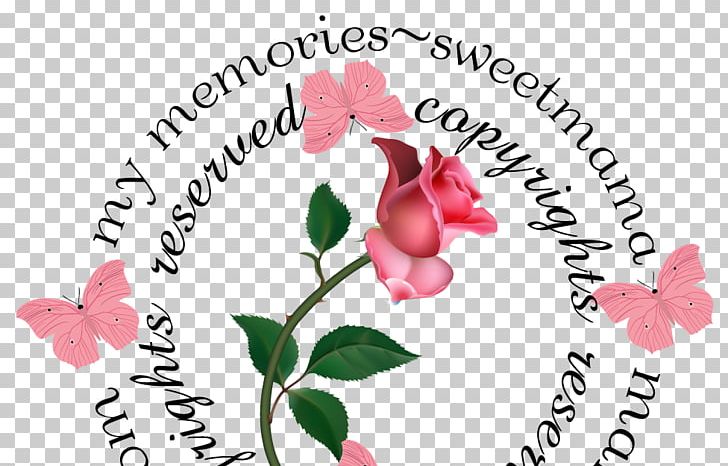 Cut Flowers Floral Design Rose Family PNG, Clipart,  Free PNG Download