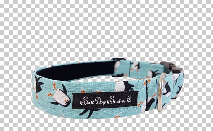 Dog Collar Textile Turquoise PNG, Clipart, Aqua, Collar, Color, Cuteness, Dog Free PNG Download