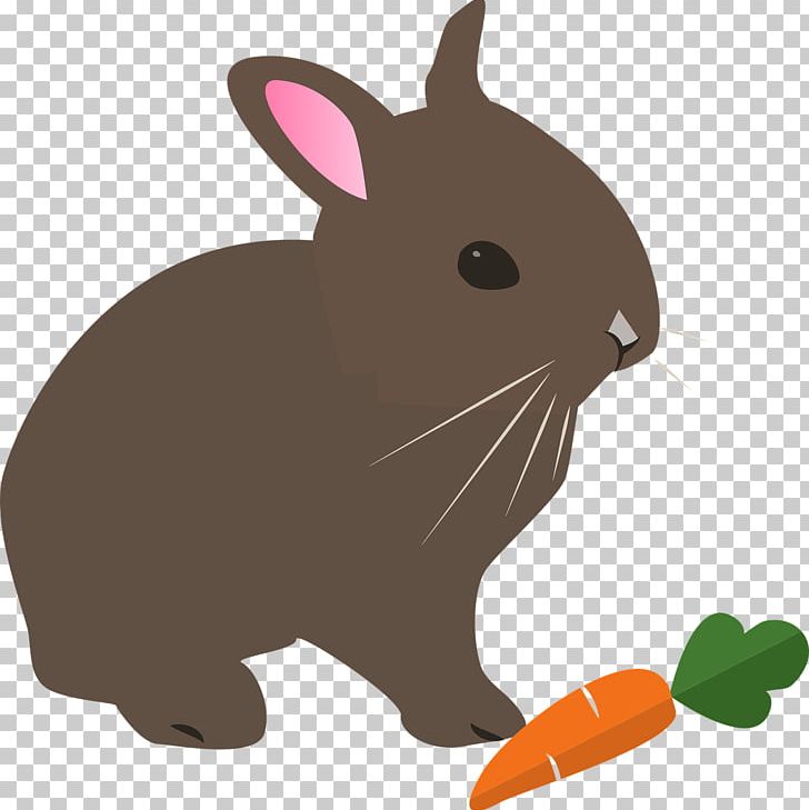 Hare Easter Bunny Rabbit PNG, Clipart, Animals, Cartoon, Domestic Rabbit, Easter Bunny, Fauna Free PNG Download
