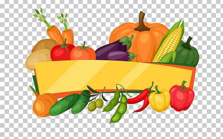 Vegetarian Cuisine Tostada Vegetable Graphics Chili Pepper PNG, Clipart, Bell Peppers And Chili Peppers, Cabbage, Chili Pepper, Chinese Cabbage, Cucurbita Free PNG Download
