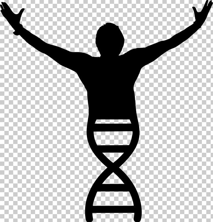 Molecular Biology DNA PNG, Clipart, Anatomy, Arm, Artwork, Biochemistry, Biology Free PNG Download