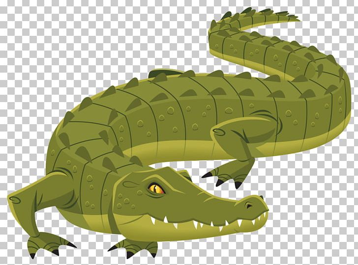 nile crocodile clipart image