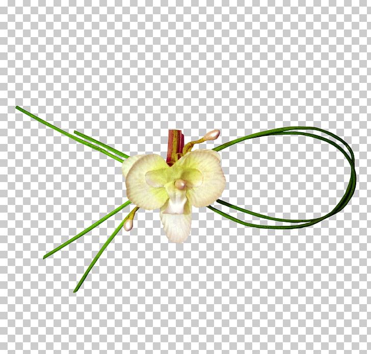 Petal Knot Green PNG, Clipart, Blossom, Branch, Computer Wallpaper, Download, Euclidean Vector Free PNG Download