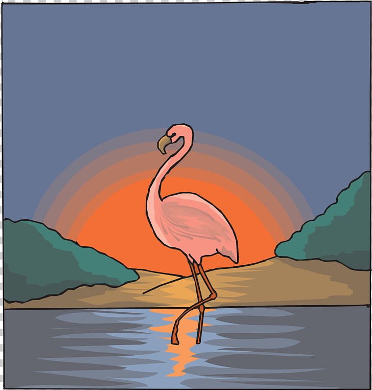 Flamingo Bird Drawing Zazzle PNG, Clipart, Animals, Art, Attack Flamingo, Beak, Bird Free PNG Download