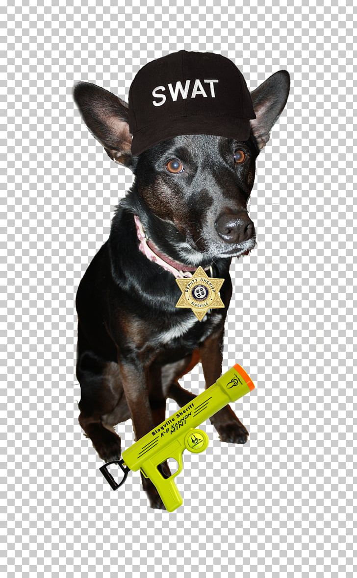 Miniature Pinscher Dog Breed Police Dog Leash PNG, Clipart,  Free PNG Download