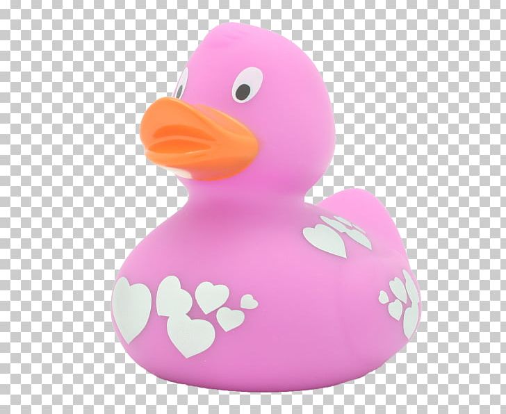 Rubber Duck Bird Massachusetts Institute Of Technology Usted PNG, Clipart, Alexander Herzen, Animals, Beak, Bird, Centimeter Free PNG Download