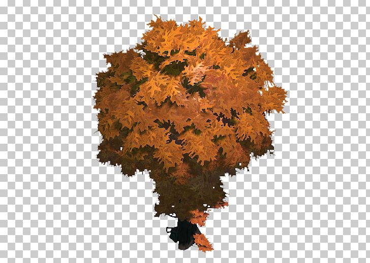 Dota 2 Defense Of The Ancients Autumn Wiki PNG, Clipart, Autumn, Branch, Computer Icons, Defense Of The Ancients, Dota 2 Free PNG Download