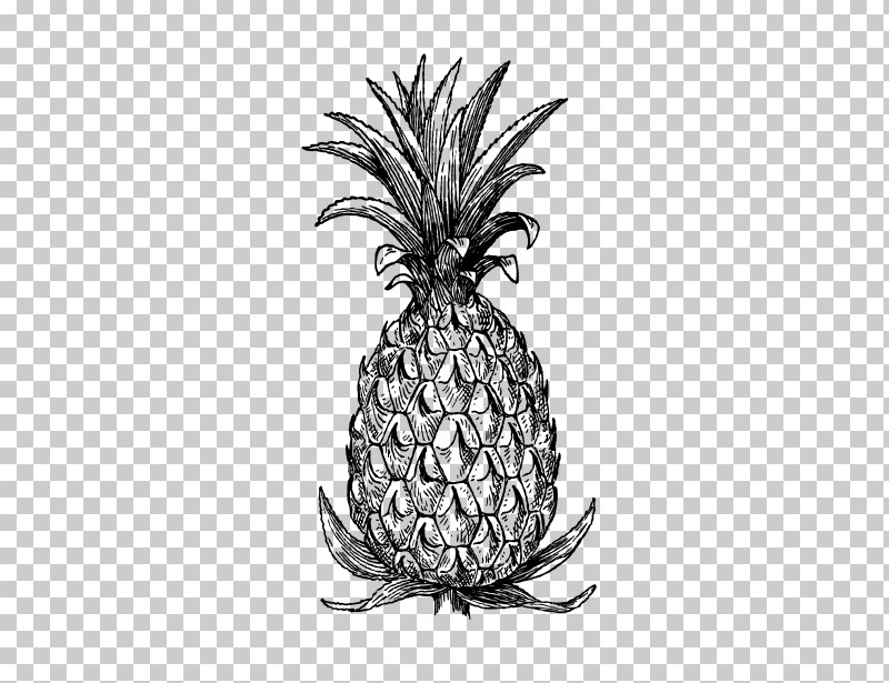 Pineapple PNG, Clipart, Ananas, Blackandwhite, Drawing, Food, Fruit Free PNG Download