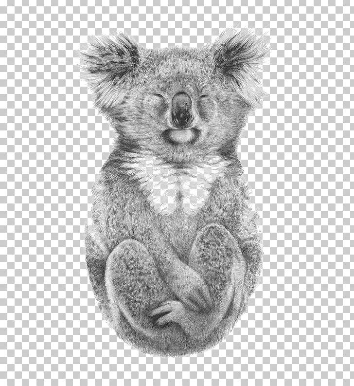 Australia Paper Koala Drawing Printing PNG, Clipart, Animal, Animals, Art, Black And White, Canvas Free PNG Download