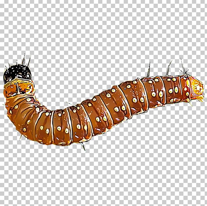 Caterpillar Insect Spruce Budworm PNG, Clipart, Animals, Arthropod, Brown Marmorated Stink Bug, Butterflies And Moths, Butterfly Free PNG Download