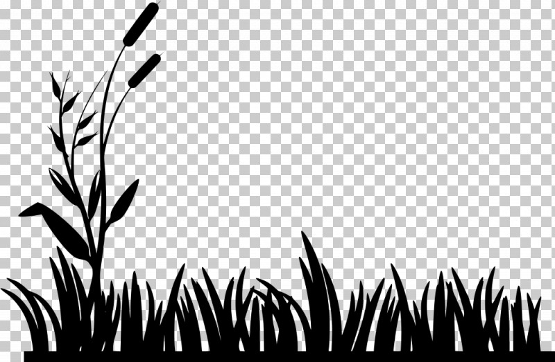 Vegetation Leaf Grass Nature Black PNG, Clipart, Black, Blackandwhite, Grass, Leaf, Nature Free PNG Download