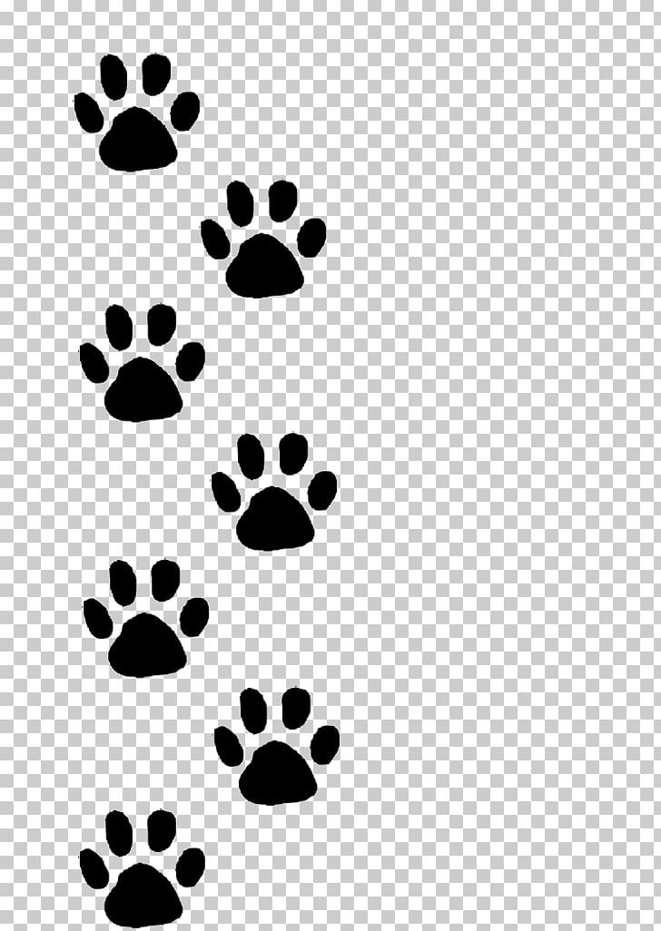 Dog How You Do Anything Is How You Do Everything Cat Puppy Pet PNG, Clipart, Animals, Animal Track, Anything, Black, Black And White Free PNG Download