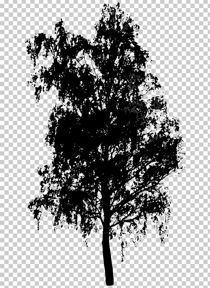 Tree Shrub PNG, Clipart, Black And White, Branch, Desktop Wallpaper, Download, Drawing Free PNG Download