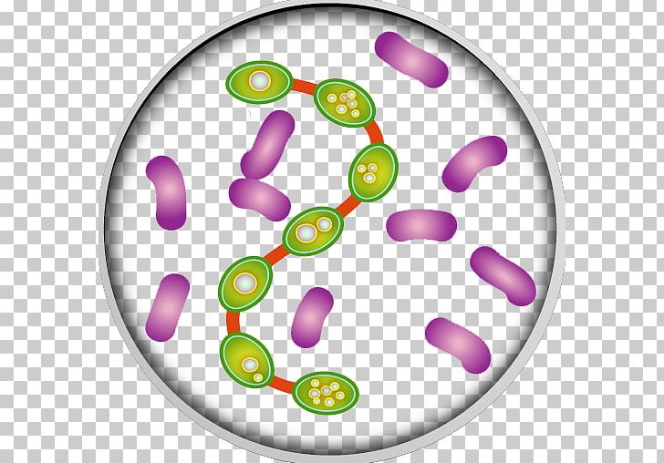 Bacteria Infection Medicine PNG, Clipart, Art, Bacteria, Circle, Clip Art, Disease Free PNG Download