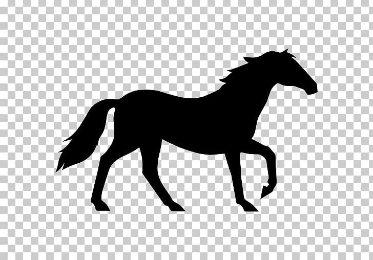 Tennessee Walking Horse Equestrian Standing Horse Collection PNG, Clipart, Animal, Animal Clipart, Canter And Gallop, Collection, Equestrian Free PNG Download