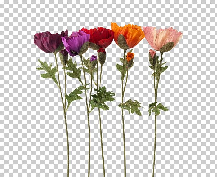 Artificial Flower IKEA Blume Cut Flowers PNG, Clipart, Anemone, Artificial Flower, Blume, Cut Flowers, Fiori Free PNG Download