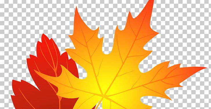 Autumn Leaf Color PNG, Clipart, Autumn, Autumn Leaf Color, Computer Wallpaper, Desktop Wallpaper, Leaf Free PNG Download