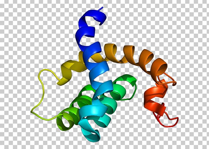 CBFA2T3 Protein Gene UniProt Transcription Factor PNG, Clipart, Animal Figure, Artwork, Fusion Protein, Gene, Line Free PNG Download