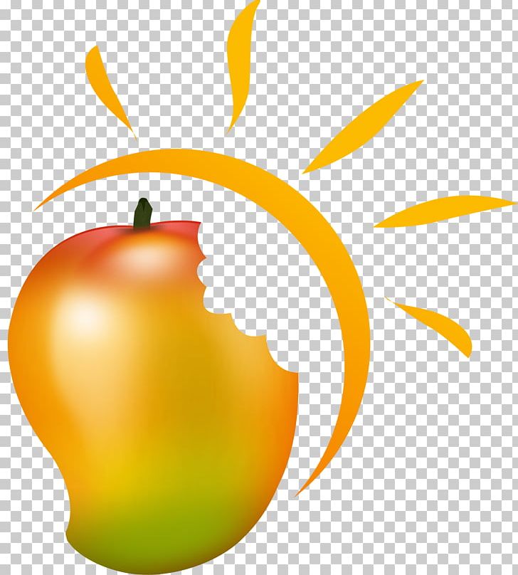 Mango Solar Power Industry Food Logo PNG, Clipart, Apple, Citrus, Computer Wallpaper, Food, Fruit Free PNG Download