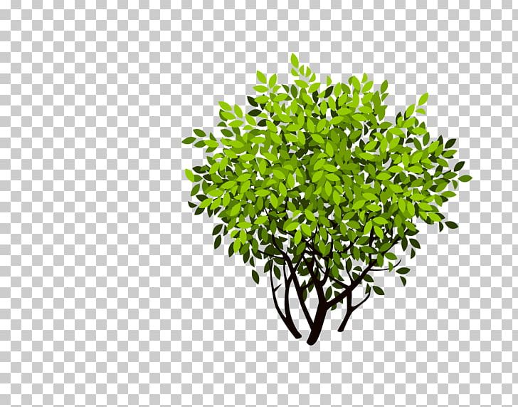 Shrub Tree PNG, Clipart, Bush, Cartoon, Computer Icons, Copywriting, Download Free PNG Download