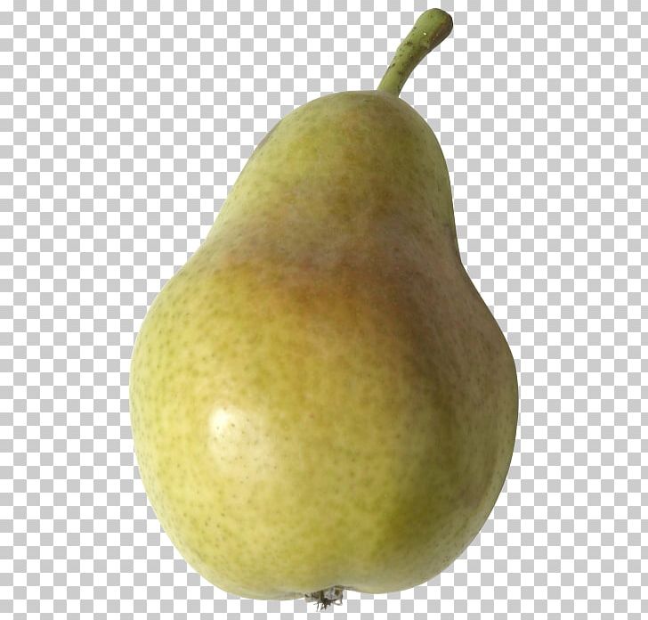 Asian Pear Accessory Fruit Food PNG, Clipart, Accessory Fruit, Apple, Asian Pear, Cucurbita, Food Free PNG Download