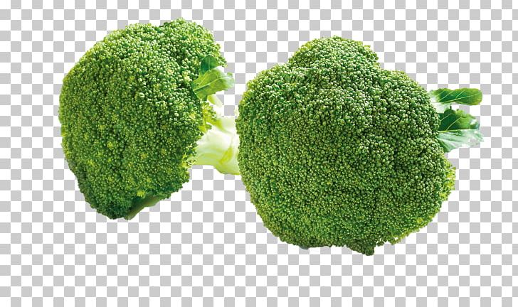 Broccoli Cauliflower Cabbage Nutrition Food PNG, Clipart, Brassica Oleracea, Broccoli, Broccoli Sprouts, Cabbage, Cancer Free PNG Download