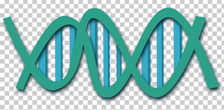 DNA Nucleic Acid Double Helix PNG, Clipart, Art, Biology, Brand, Dna, Dna Extraction Free PNG Download
