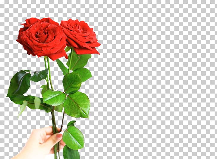 Valentines Day Beach Rose Flower Gift Romance PNG, Clipart, Artificial Flower, Flora, Floral Design, Flower Arranging, Flower Bouquet Free PNG Download