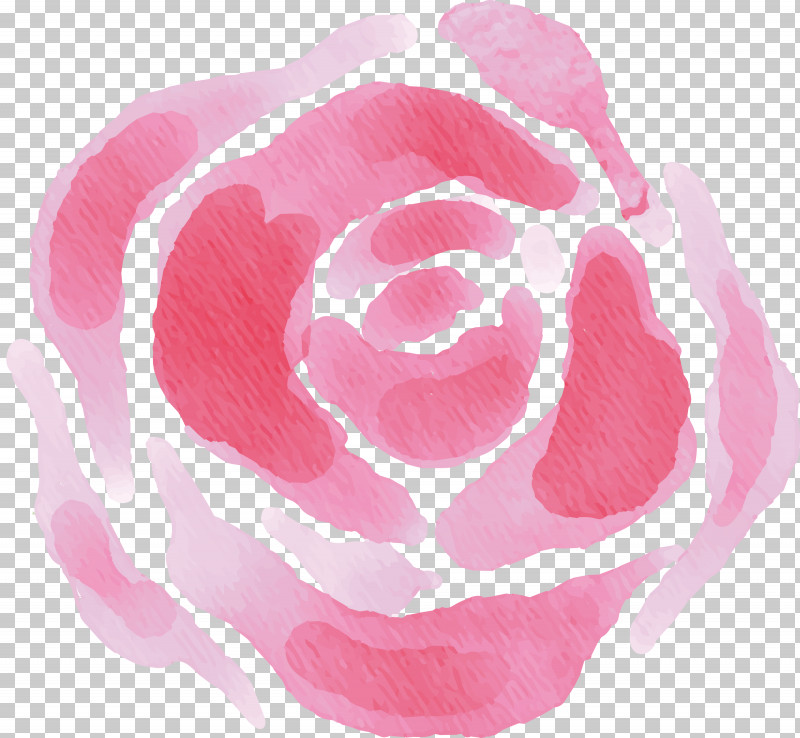 Garden Roses PNG, Clipart, Flower, Garden, Garden Roses, Petal, Rose Free PNG Download