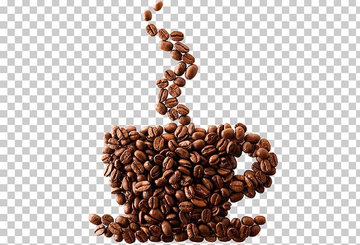 Coffee Bean Cafe Espresso Single-origin Coffee PNG, Clipart, Bean, Beans, Caffeine, Coffee, Coffee Bean Free PNG Download