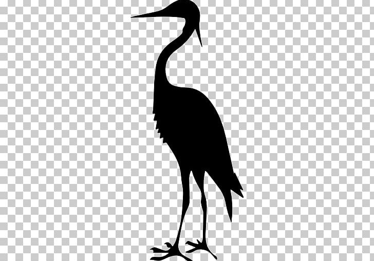 Red-crowned Crane Heron Bird Sandhill Crane PNG, Clipart, Beak, Black And White, Black Crowned Crane, Blacknecked Crane, Blue Crane Free PNG Download