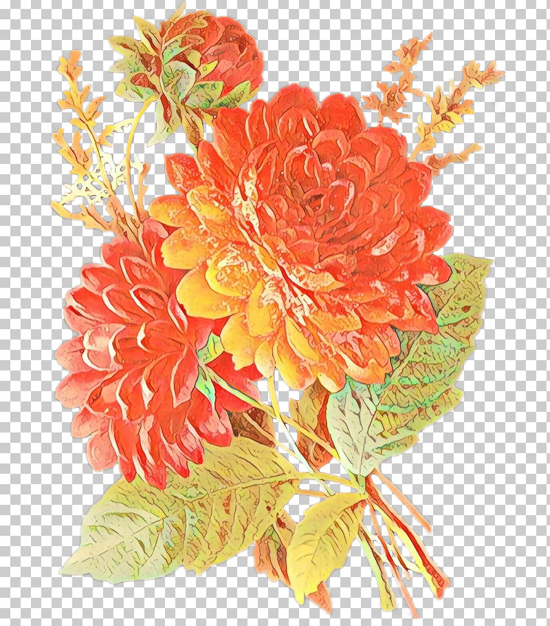 Orange PNG, Clipart, Bouquet, Carnation, Cut Flowers, Flower, Orange Free PNG Download