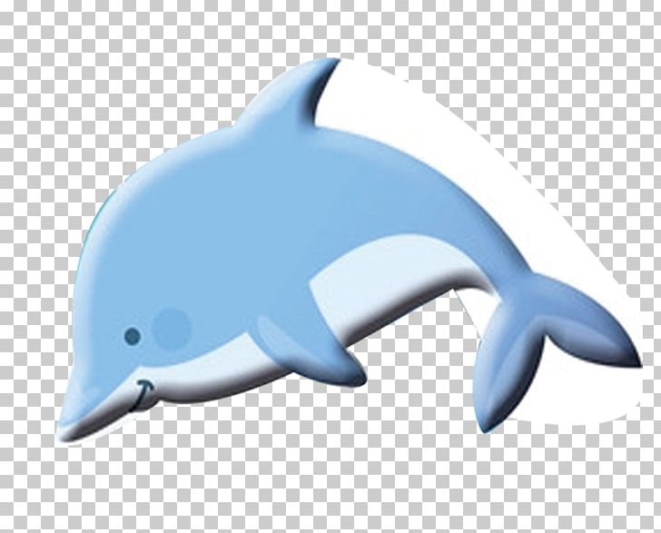 Common Bottlenose Dolphin Tucuxi Baleen Whale PNG, Clipart, Animals, Baleen Whale, Blue, Blue Whale, Cartoon Whale Free PNG Download