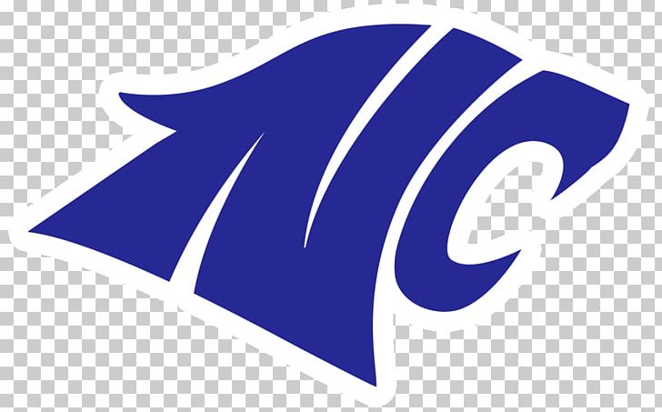 North Crowley High School Carolina Panthers Black Panther Philadelphia Eagles PNG, Clipart, American Football, Angle, Basketball, Black Panther, Blue Free PNG Download