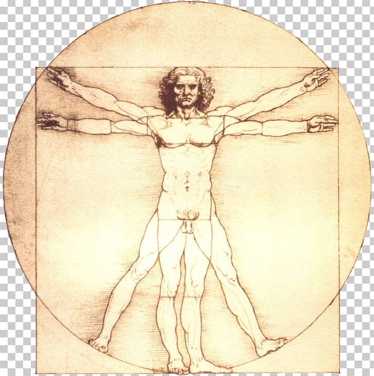 Vitruvian Man Renaissance Portrait Of A Man In Red Chalk Painting Drawing PNG, Clipart, Arm, Art, Artist, Artwork, Costume Design Free PNG Download